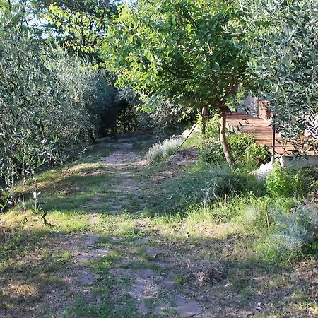 Semesterbostad Il Nido Tra Le Querce *