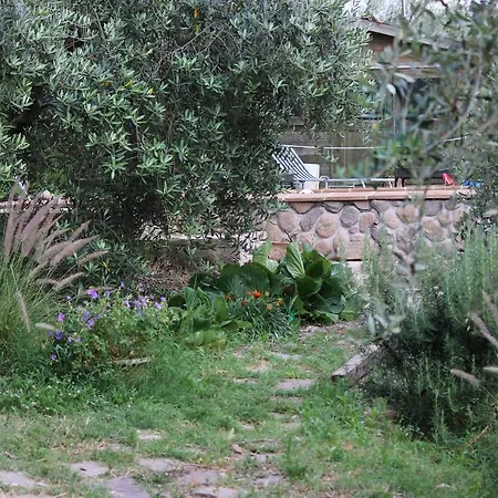 Il Nido Tra Le Querce