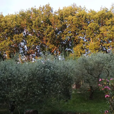 Il Nido Tra Le Querce Semesterbostad *