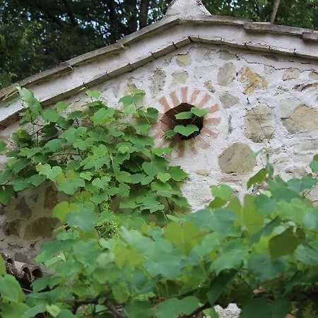 Сasa de vacaciones Il Nido Tra Le Querce