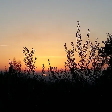 Il Nido Tra Le Querce Сasa de vacaciones