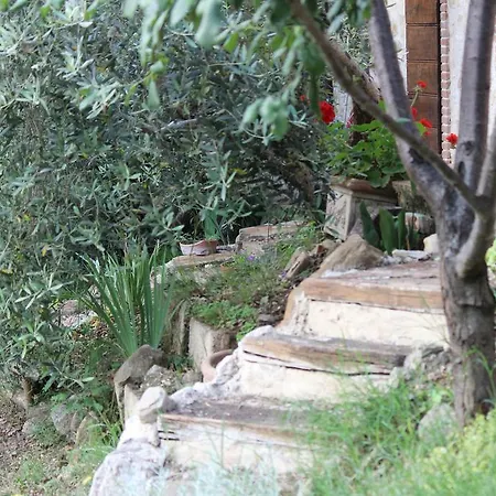 Holiday home Il Nido Tra Le Querce Assisi