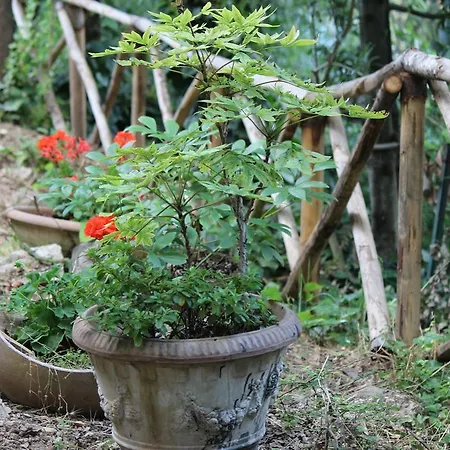 Holiday home Il Nido Tra Le Querce