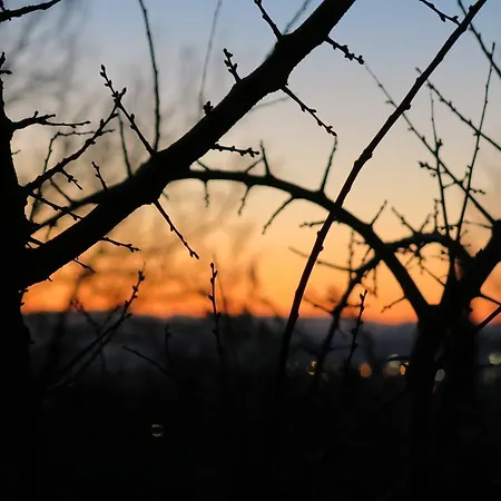 Il Nido Tra Le Querce *